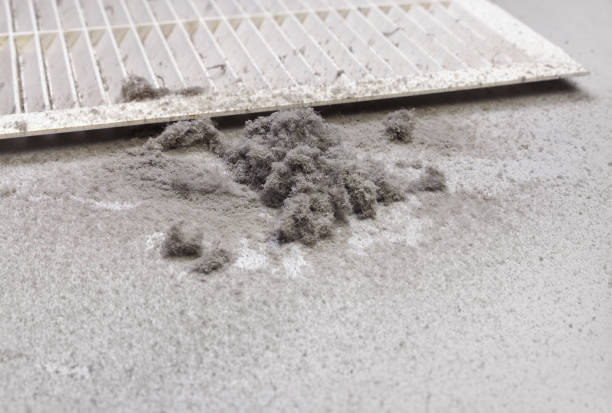 Best HVAC System Cleaning  in Wellman, IA