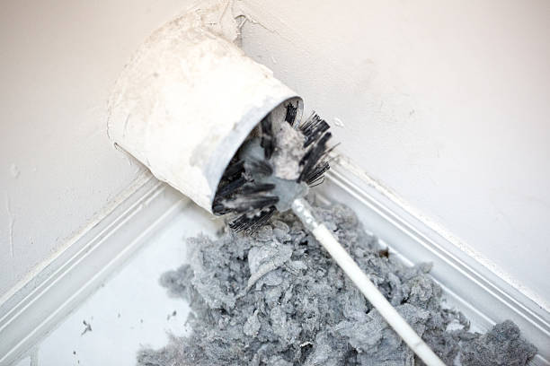 Best HVAC Duct Inspection Services  in Wellman, IA